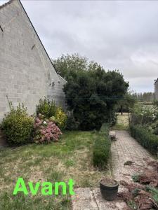 Réalisation d’un important entretien de jardin 