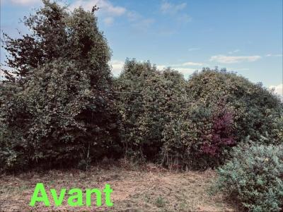 Réalisation d’un important entretien de jardin 