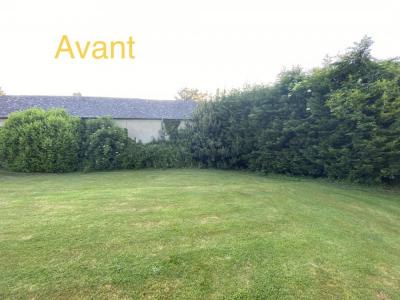 Élagage d’un ensemble d’arbres divers