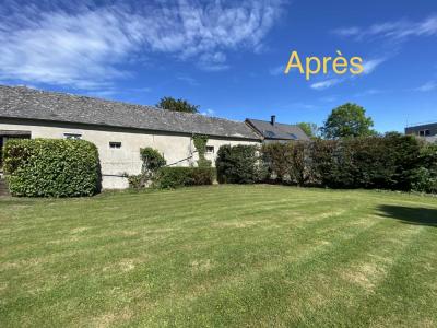 Élagage d’un ensemble d’arbres divers